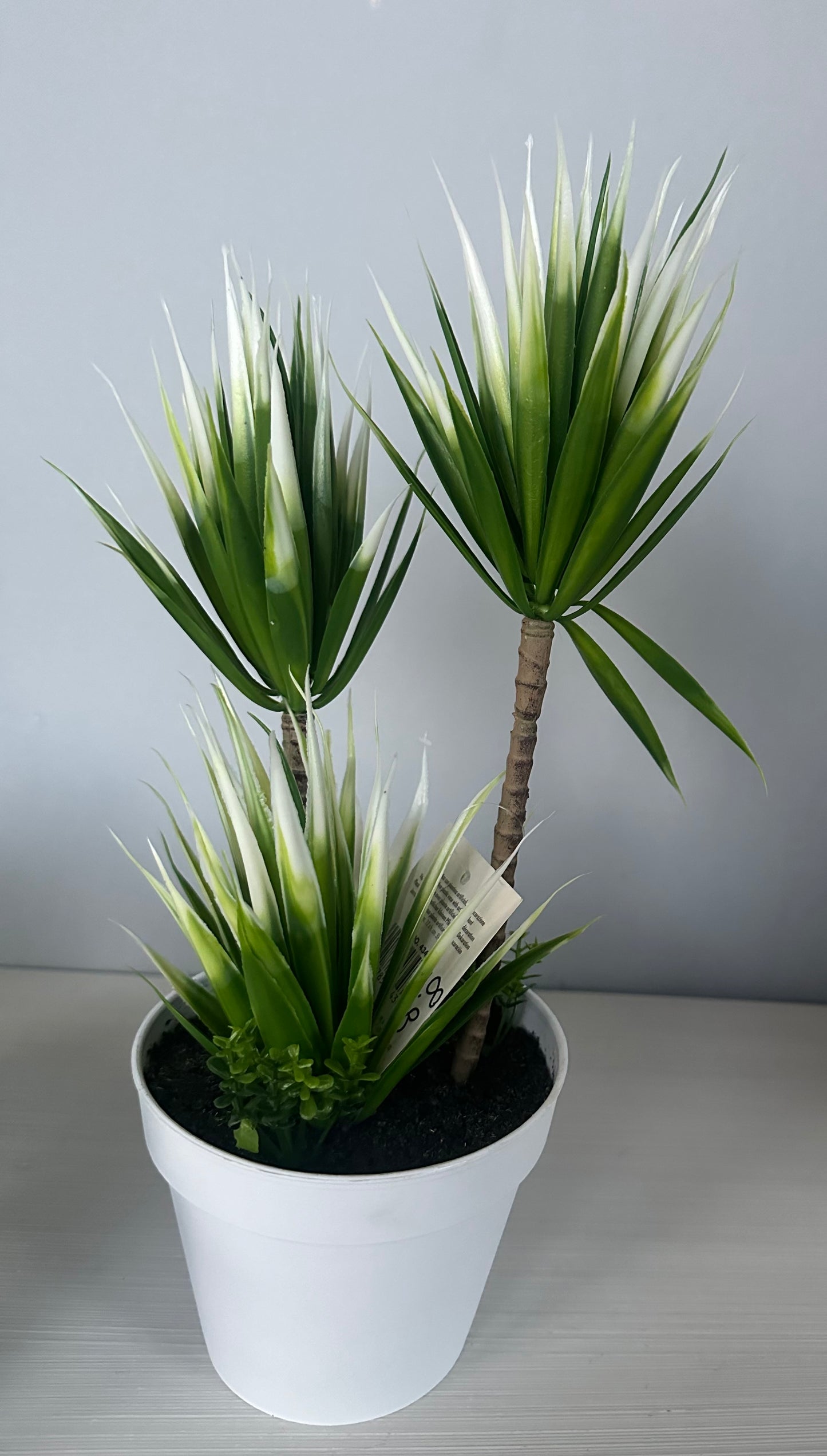 Yucca artificiale