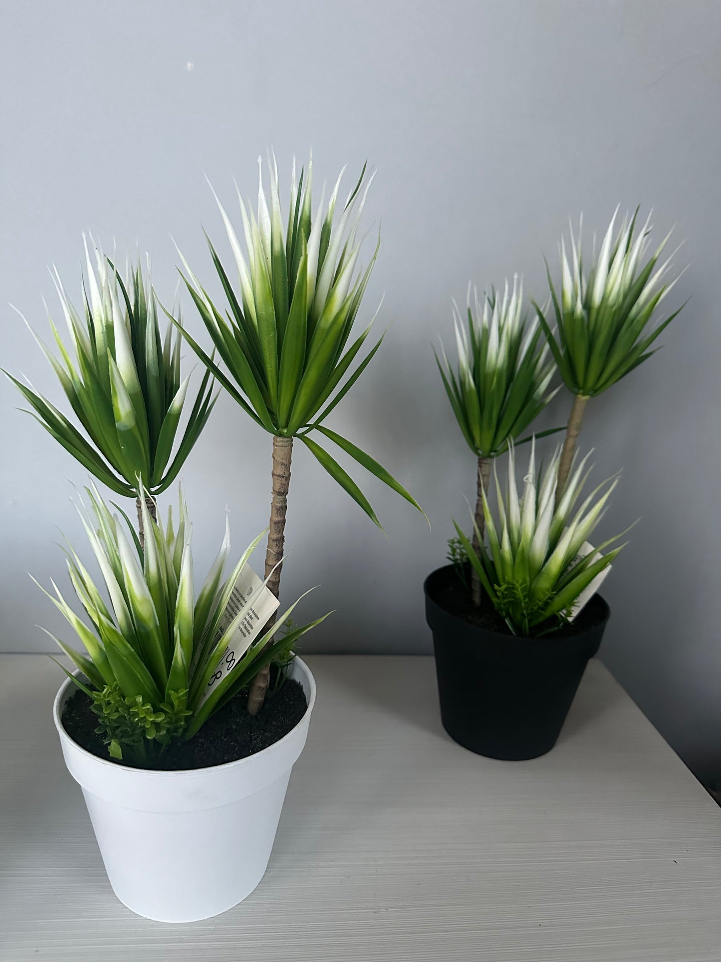 Yucca artificiale